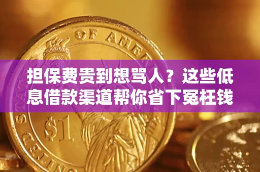 济南担保费贵到想骂人？这些低息借款渠道帮你省下冤枉钱