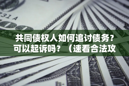 济南共同债权人如何追讨债务？可以起诉吗？（速看合法攻略）